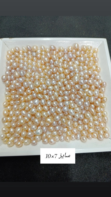 مروارید گلابی رنگ نباتی